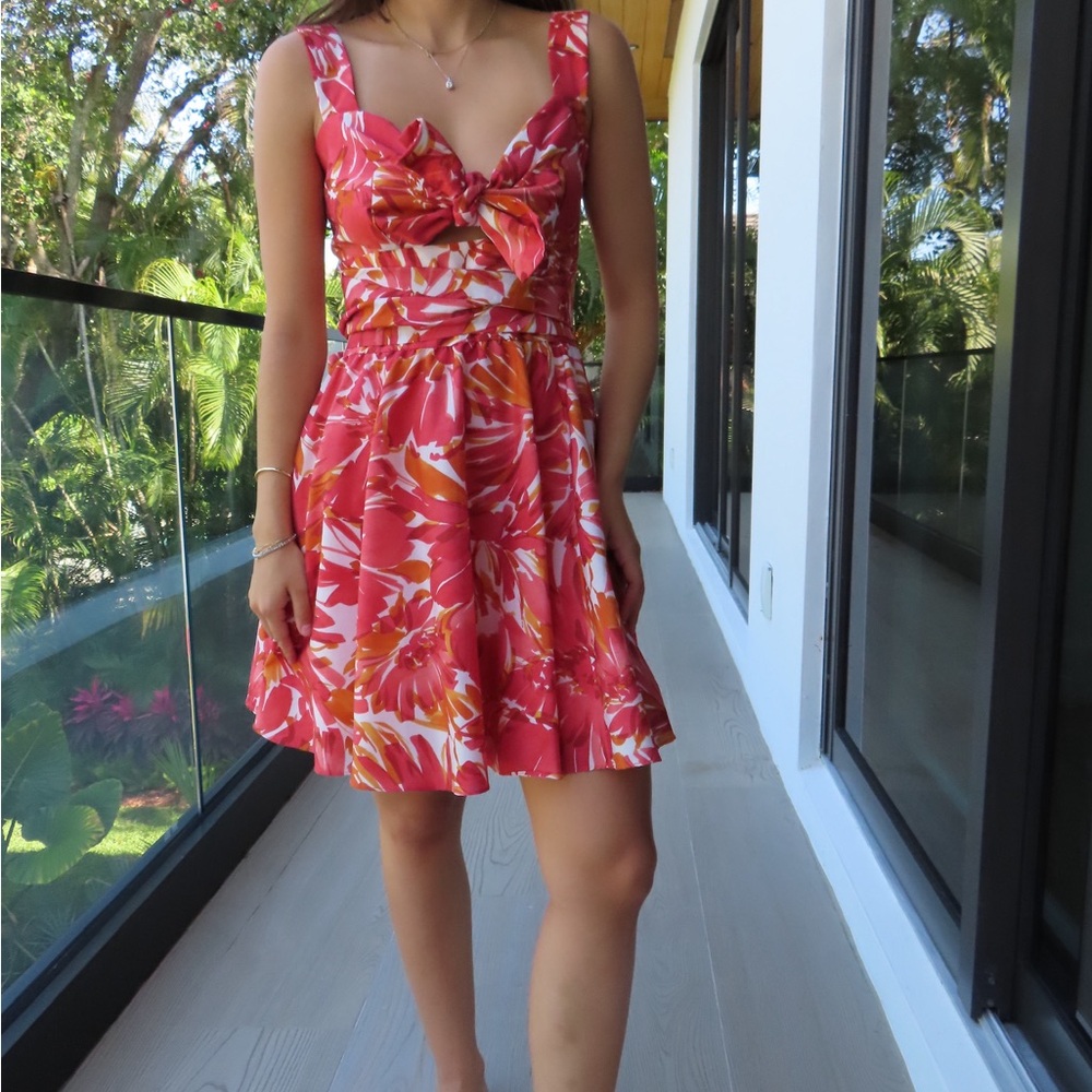 Alexis Red and White Sleeveless Sundress
